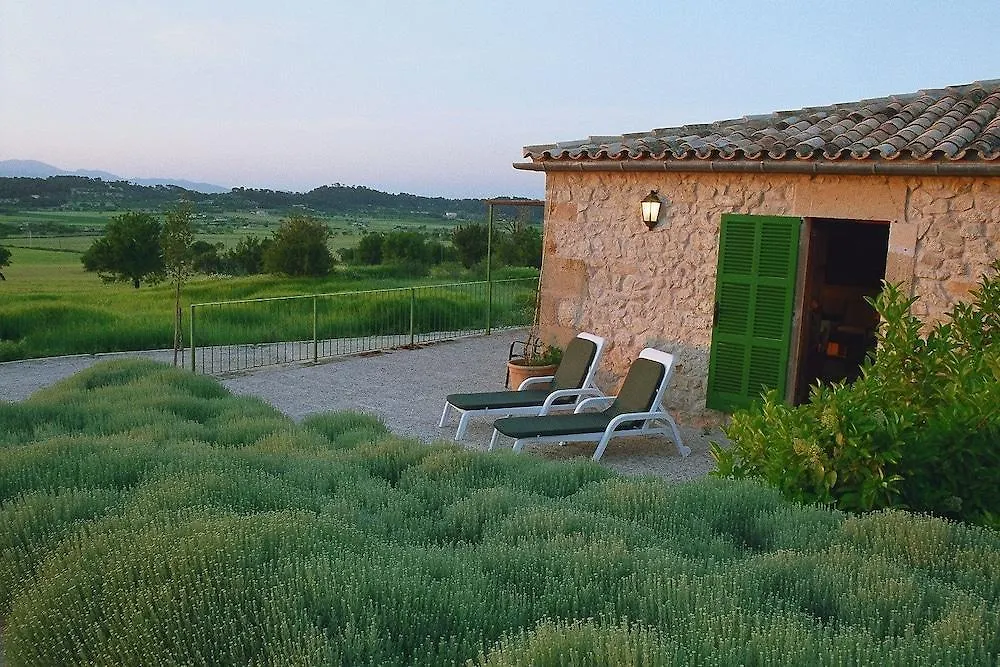 Agroturismo Sa Rota Den Palerm Льорет-де-Виста-Алегре 3*,  Испания