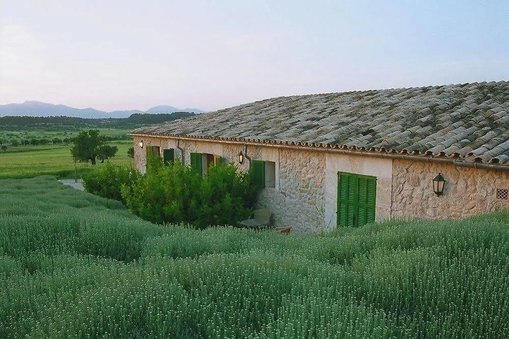 Agroturismo Sa Rota Den Palerm Льорет-де-Виста-Алегре Отель